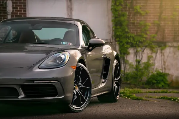 Casino Spin Pug App Android/iOS